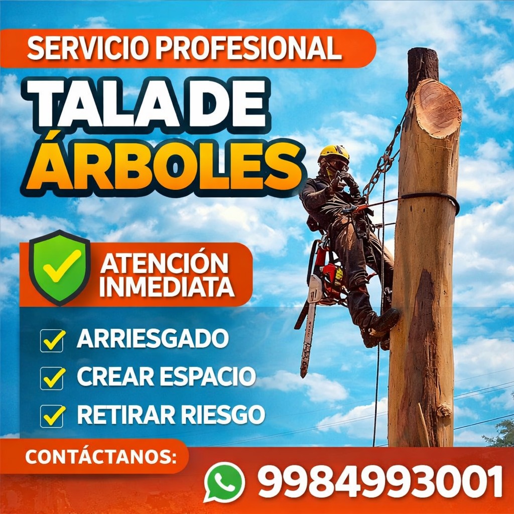 Tala de árboles